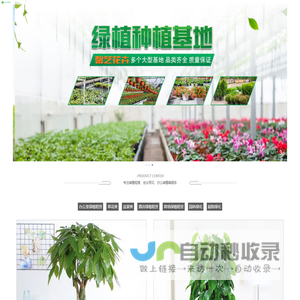 广州绿植租摆租赁