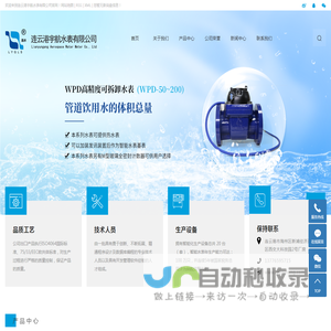 连云港水表