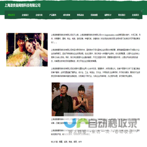 全自动液压纠偏器