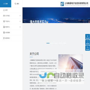 上海集服电子信息系统有限公司