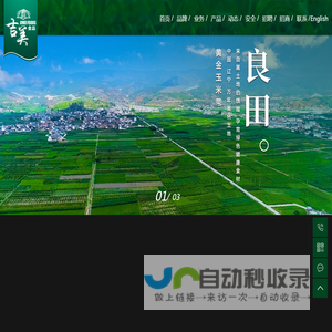 真空包装糯玉米