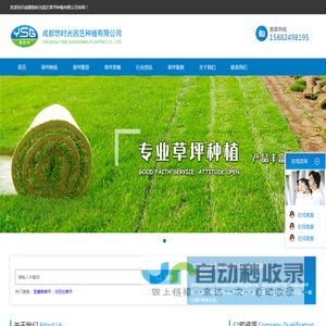 草坪批发价格