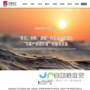 安徽红阳化工有限公司
