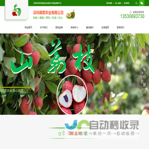 南山荔枝