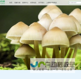 山东银田农贸集团有限公司