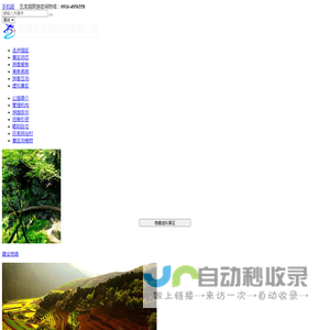 陕西五龙洞国家森林公园