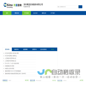 深圳青蓝咨询服务有限公司