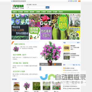 农业种植技术,植物花卉图片,家居绿化