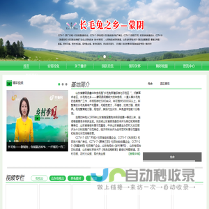 长毛兔