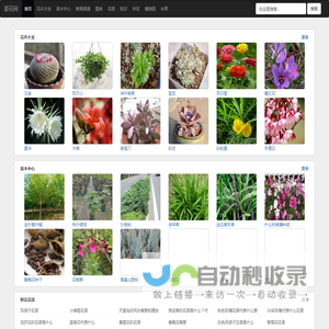 花卉