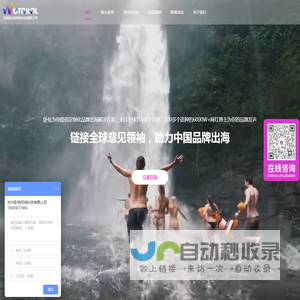 海外品牌营销