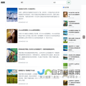网络软件开发网站编程