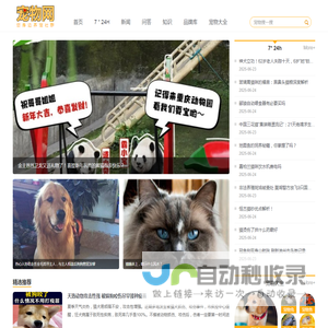 宠物网
