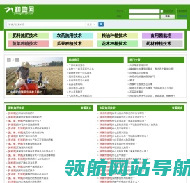 种植技术经验交流