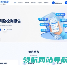 税务管家