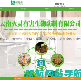昆明除四害