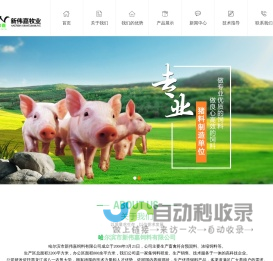 澳门游戏网站