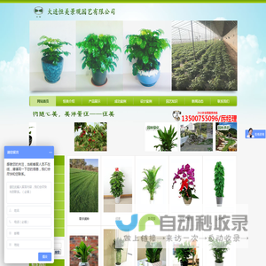 大连恒美景观园艺有限公司