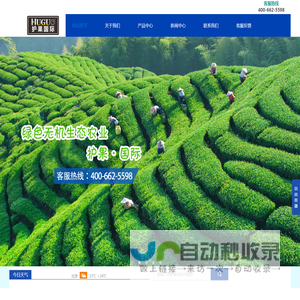 护果国际