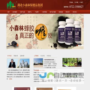 小森林集团