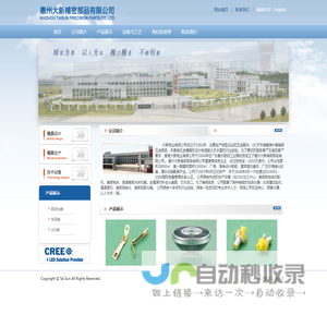惠州大新精密部品有限公司