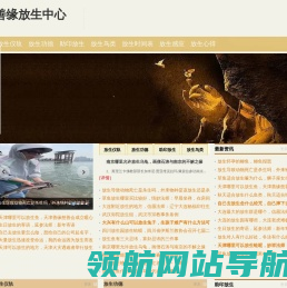 简单放生仪轨