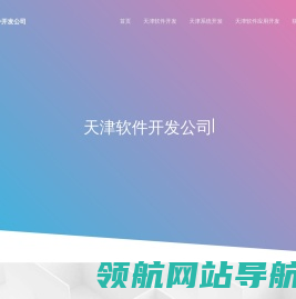 天津软件外包公司