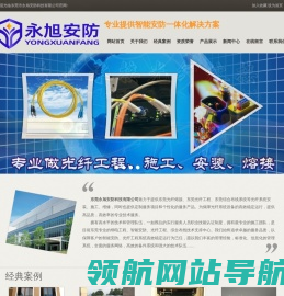 东莞市永旭安防科技有限公司
