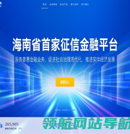海南征信平台