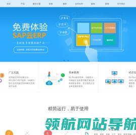 由奥维奥运营和管理的SAP