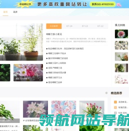 花缘鲜花网