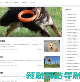 首页
