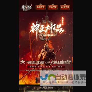 神王大极品