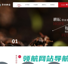 齐丰种业