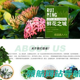 昆明盆栽批发/云南盆栽