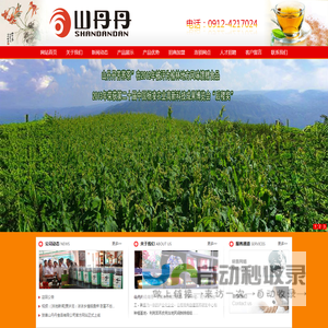 山丹丹苦荞茶