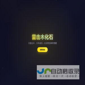 雷击木化石