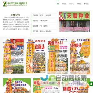 磐石玉米种子