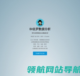 BI佐罗数据分析