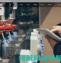 上海扬诺蒸汽发生器