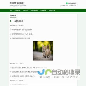 深圳训犬基地