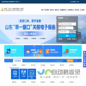 中国（山东）国际贸易单一窗口