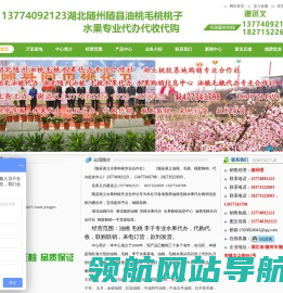 13774092123湖北随州随县油桃毛桃桃子水果代办.桃胶购销批发专业合作社