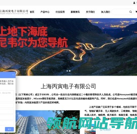 上海丙寅电子有限公司