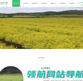 东北苗木种子网丨红叶李丨红叶榆叶梅丨四季玫瑰丨紫丁香丨东北连翘小苗工程苗