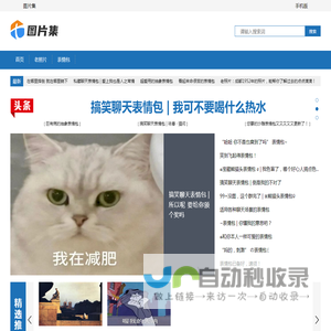 图片集